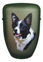 Urne dunkelgrün matt  Form b  Border Collie